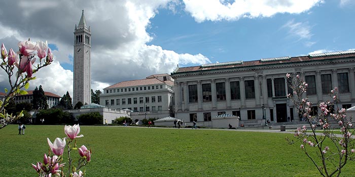 Doe Library and Campanile